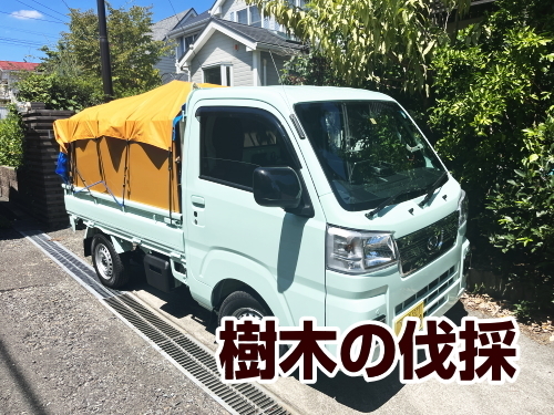 サービス内容画像：伐採・草刈りサポート