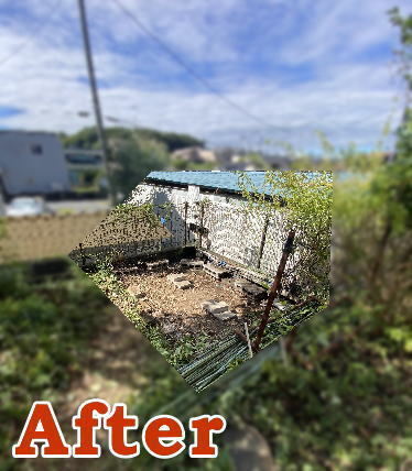 相模原市中央区O様 物置小屋の撤去サービスアフター画像